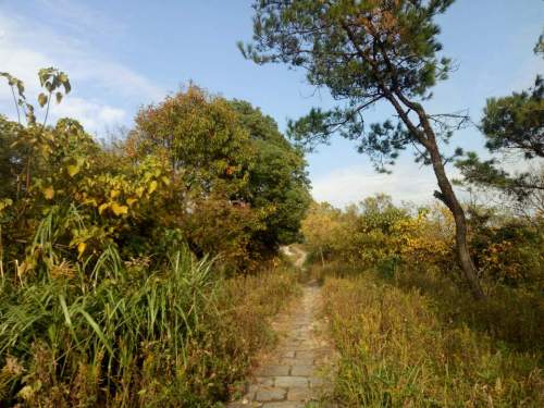 竺山公园旅行图片 1