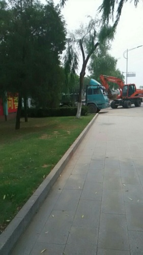 北京朝曦公园旅行图片 1