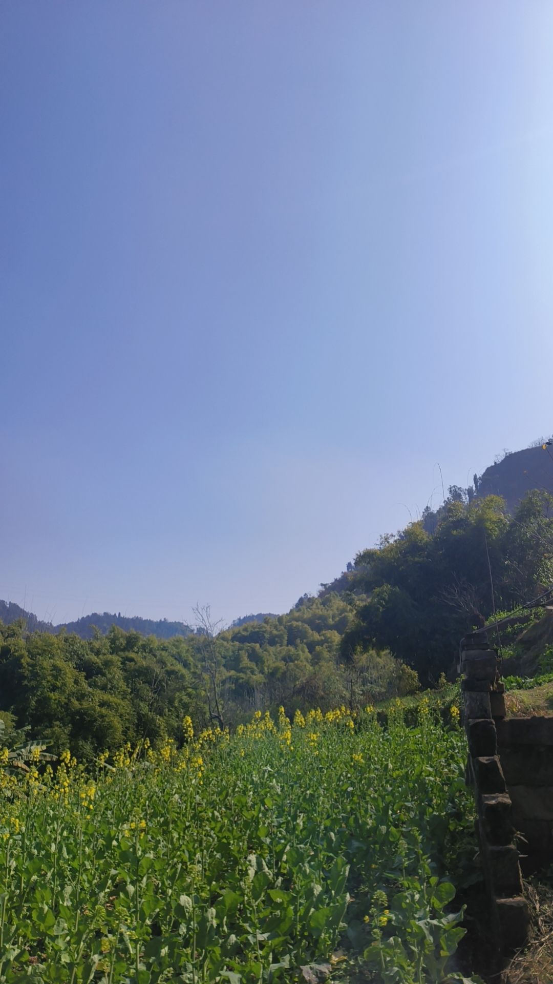 波洛寺实景照片