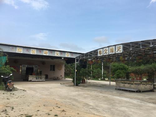 大峰祖师古庙实景照片