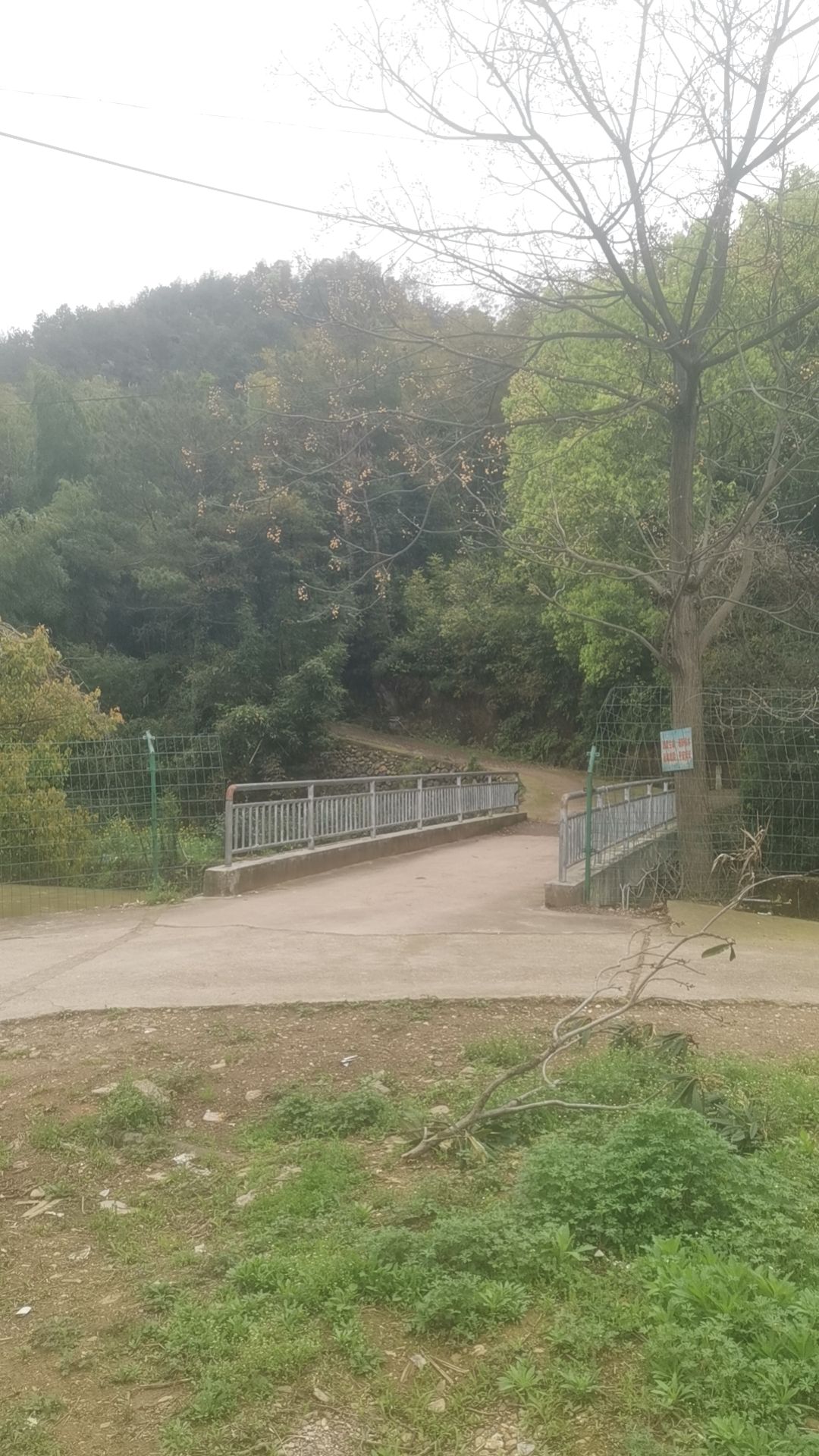 龙游官潭溪东旗山寺实景照片