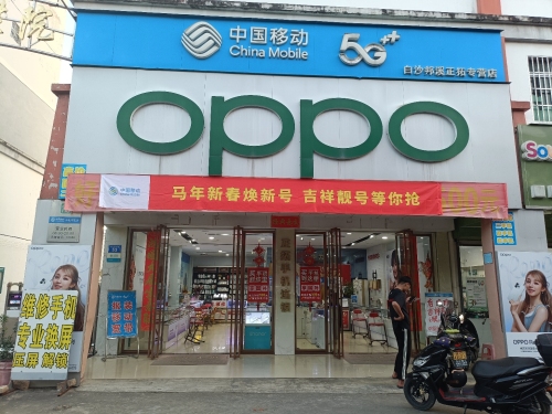 邦溪正拓手机连锁店(邦溪店)