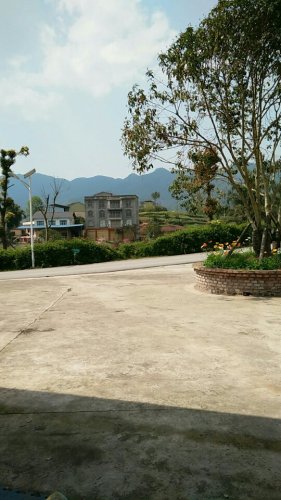 乐天花谷旅行图片 3
