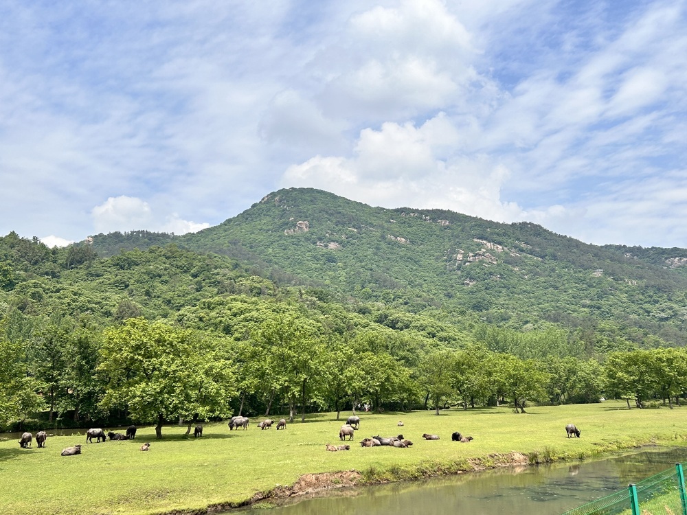 杨山河吧景点图片