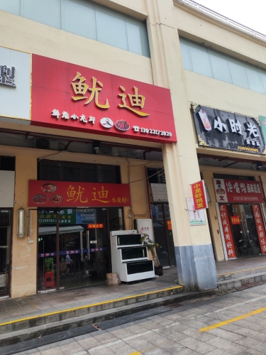 鱿迪