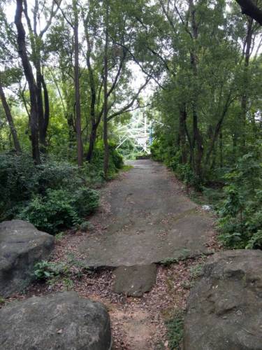 牛山炮台公园旅行图片 1