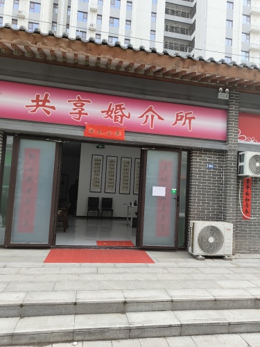 文丽婚介所