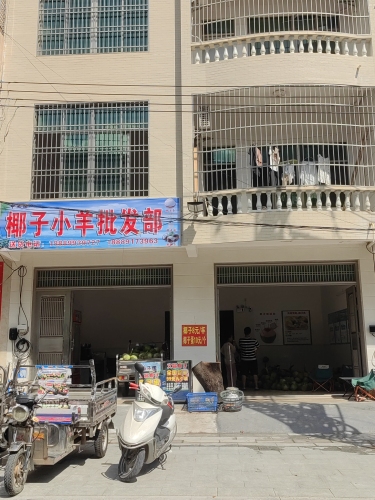 椰子小羊批发部