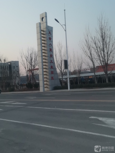 天津八里台工业园区(天华路)实景图