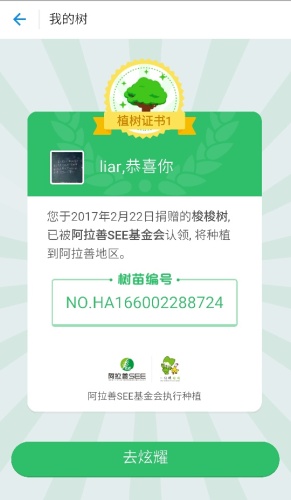 蚂蚁森林4号林·梭梭旅行图片 2