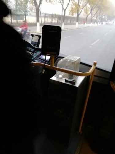 光明公园旅行图片 1