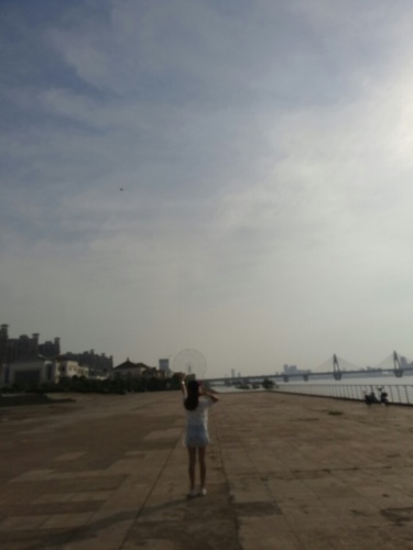 鲜花假日广场旅行图片 1