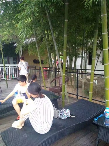 千岛湖大千古街慢生活休闲港湾旅行图片 2