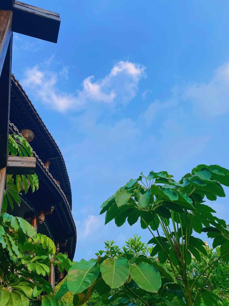 甘坑古镇景点图片