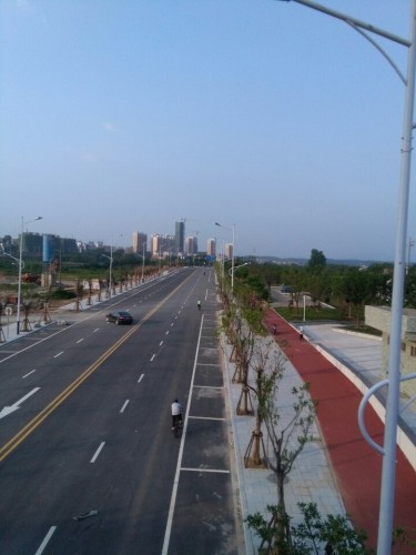 桃江湿地公园旅行图片 2