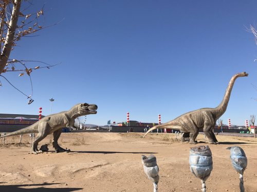 丽都欢乐世界旅行图片 1