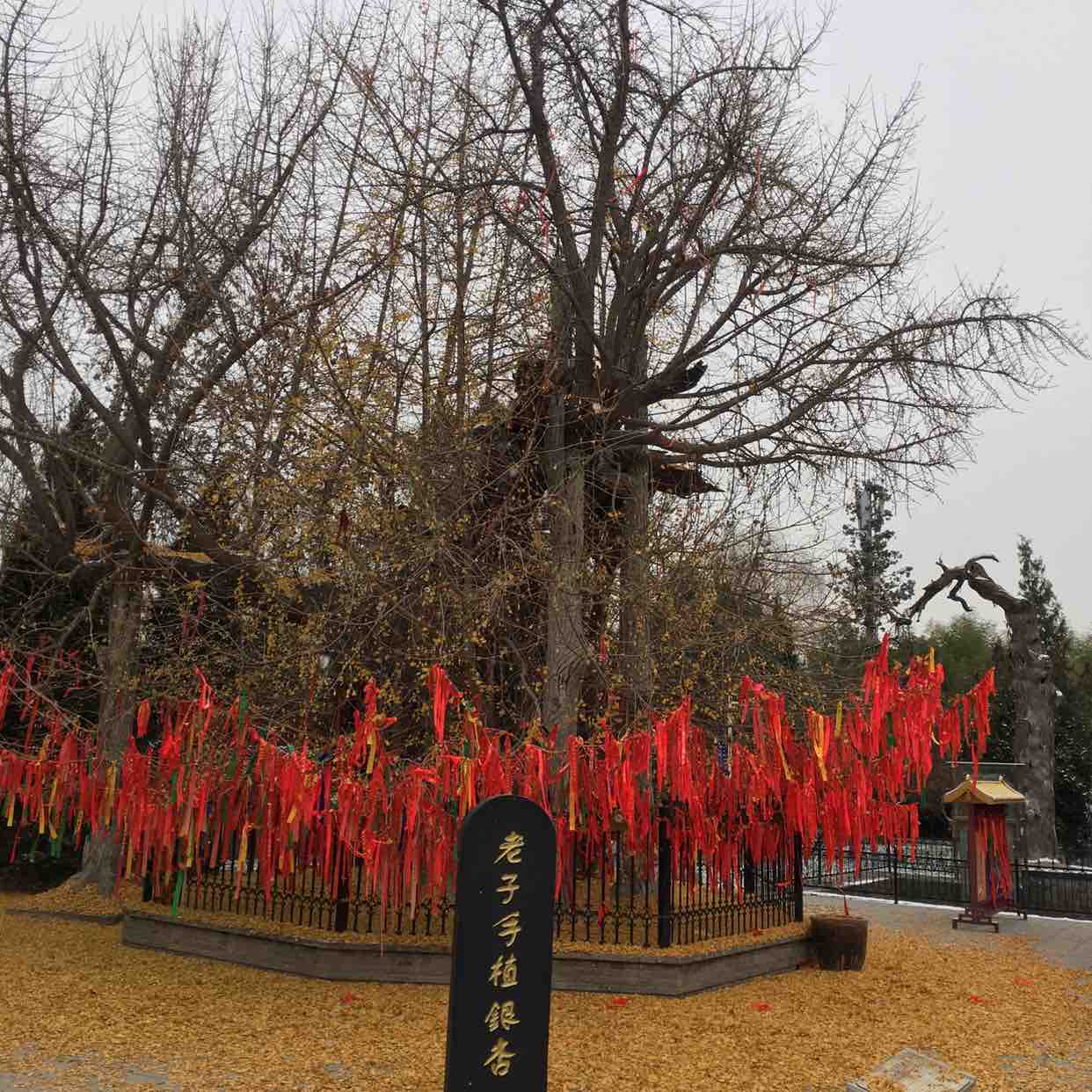 宗圣宫实景照片