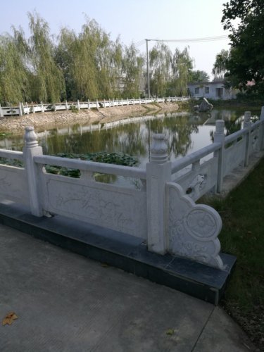 五农公园旅行图片 2