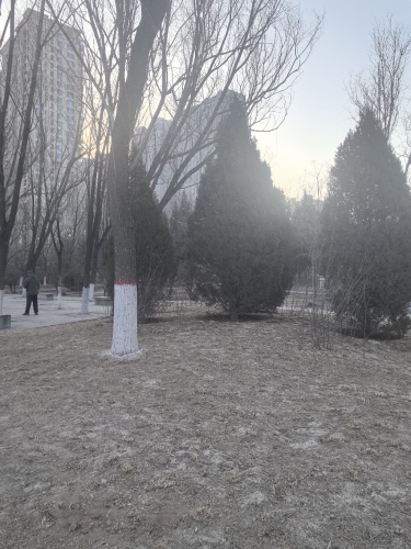 龙潭公园-绿洲植物景区