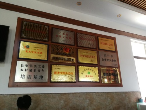 茗上茗茶文化休闲旅游区(茶家乐)旅行图片 1