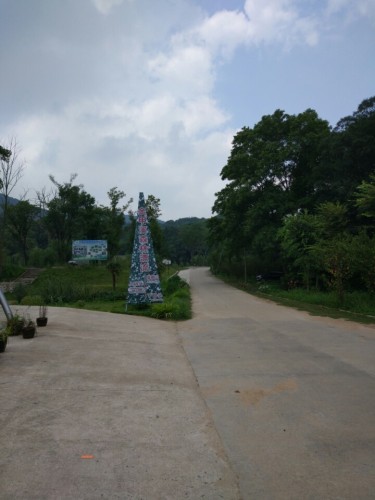 金甲溪森林漂流(暂停开放)旅行图片 2
