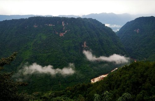 蒙顶山老川茶观光园旅行图片 1