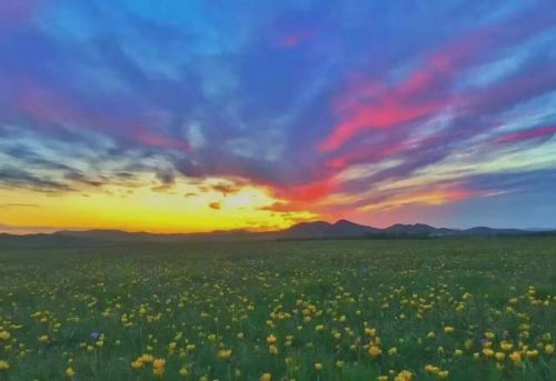 百花坡旅行图片 3