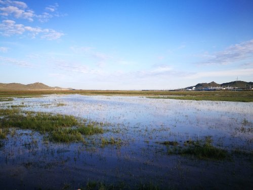 嘎达布其镇天然湿地景观旅行图片 1