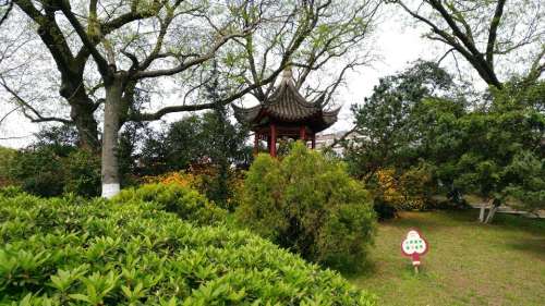 文化广场旅行图片 3