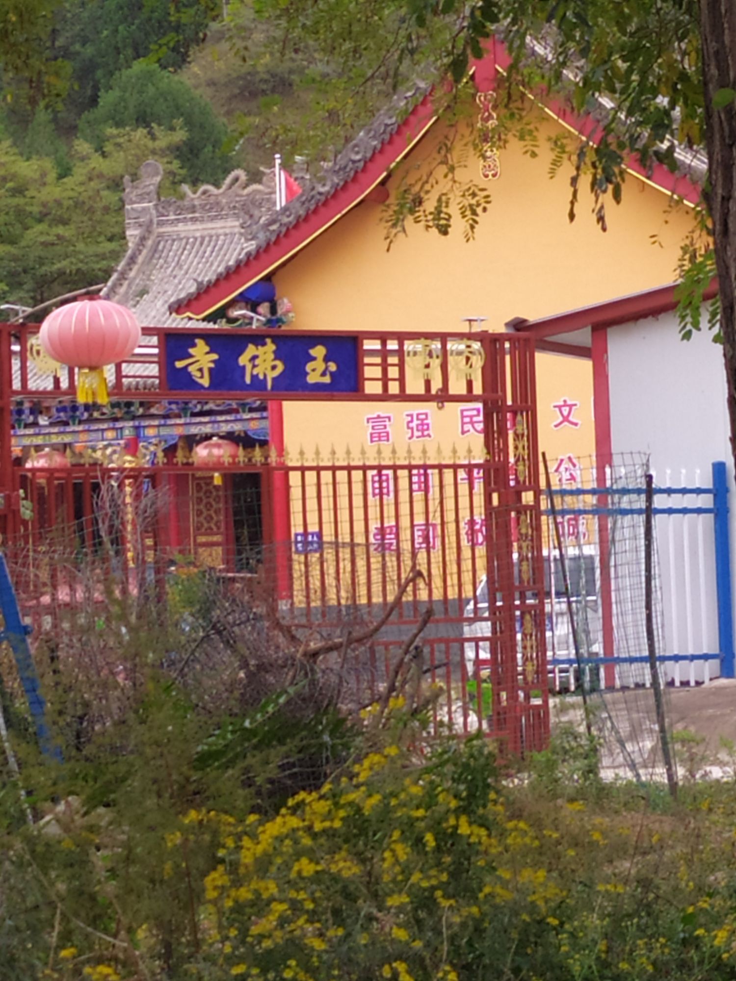 玉佛寺实景照片