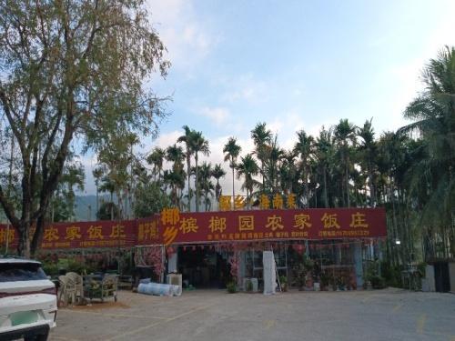 椰乡槟榔园农家饭庄·香草鸭(南山店)
