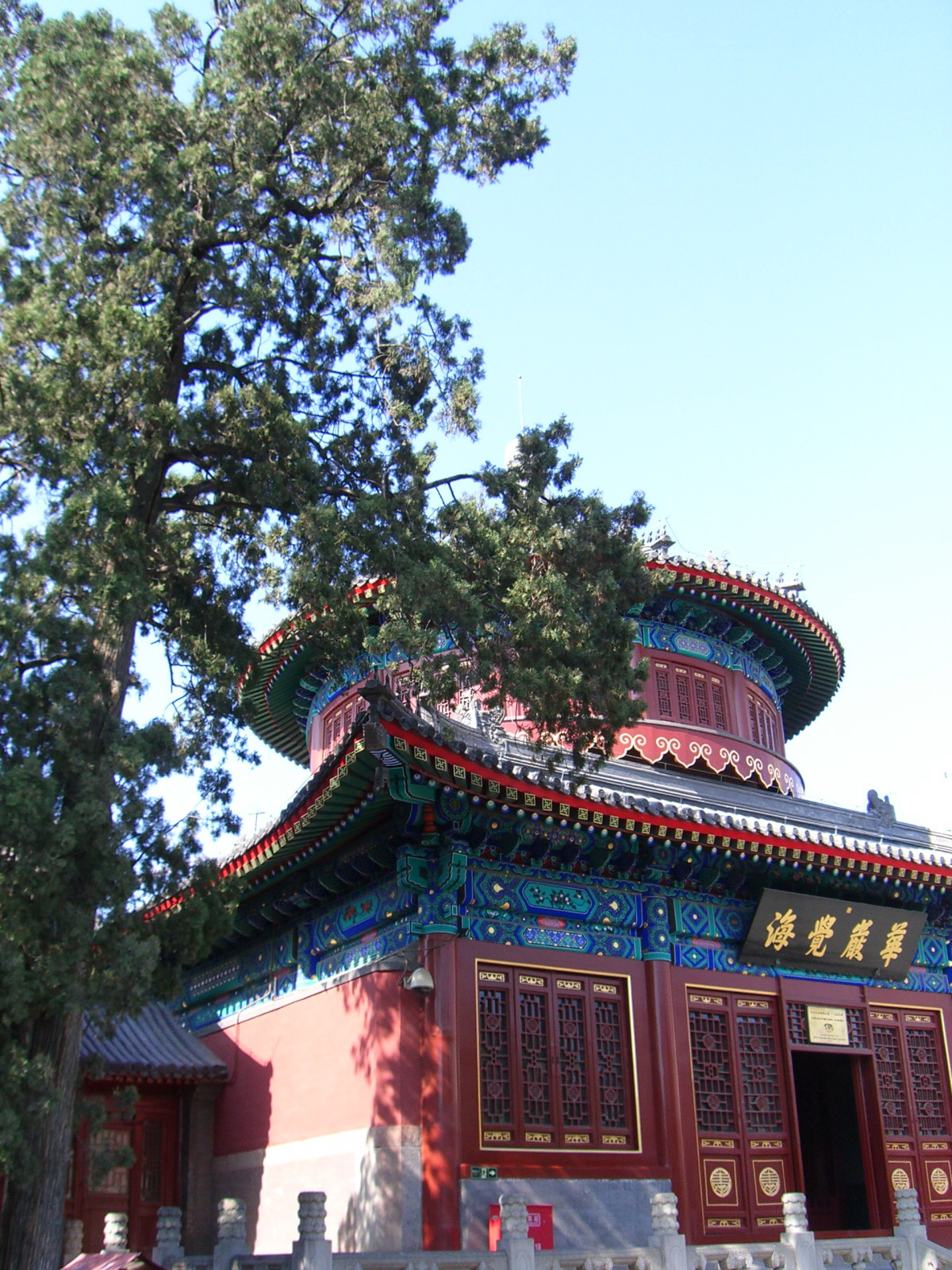 大钟寺实景照片