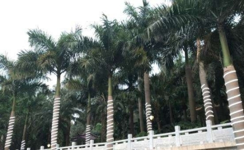 北山公园旅行图片 2