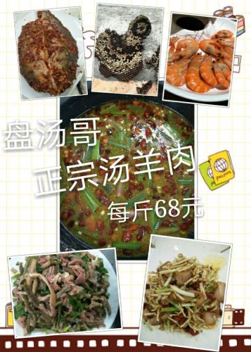 盘汤哥