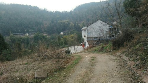 魏家观二社旅行图片 2