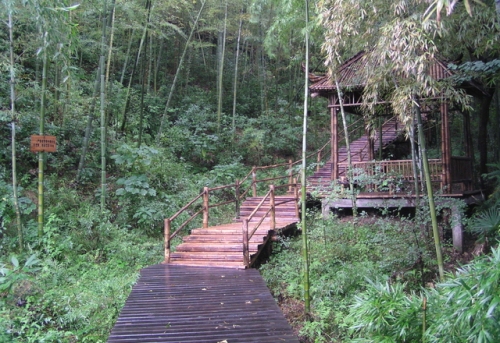 青青世界旅行图片 2