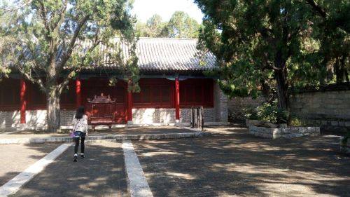 孟林旅行图片 1