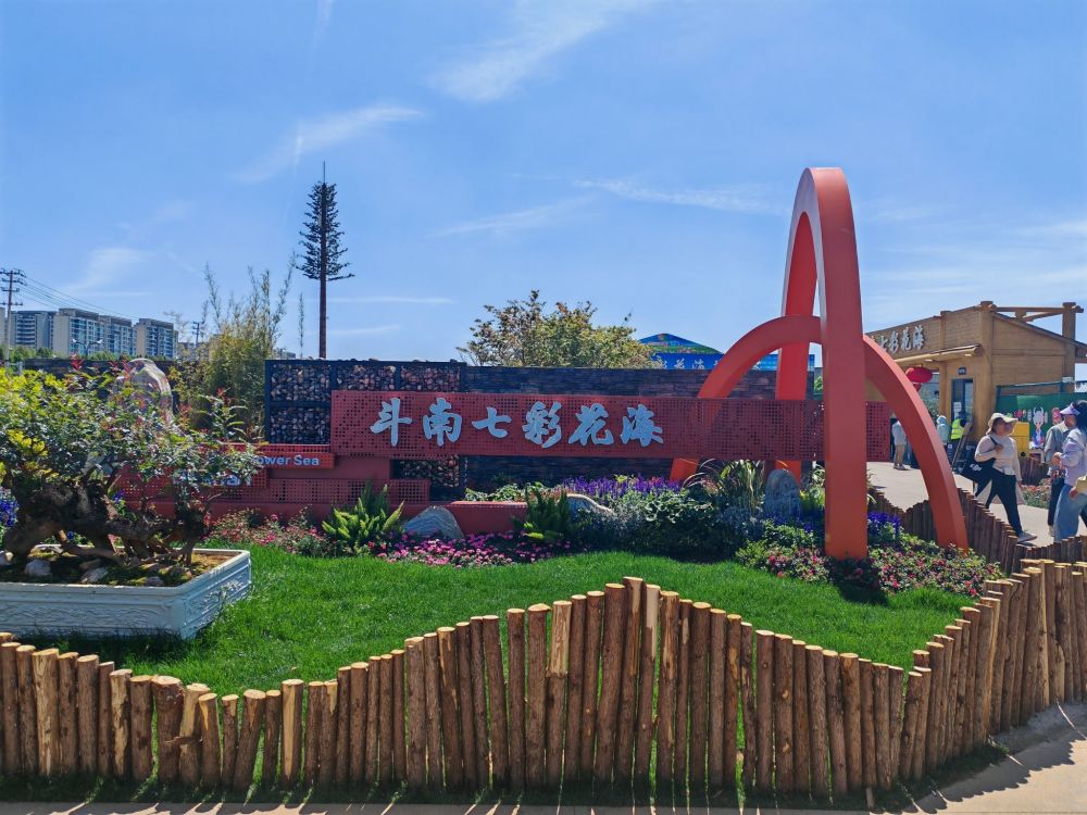 斗南七彩花海景点图片