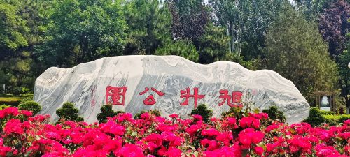 旭升公园