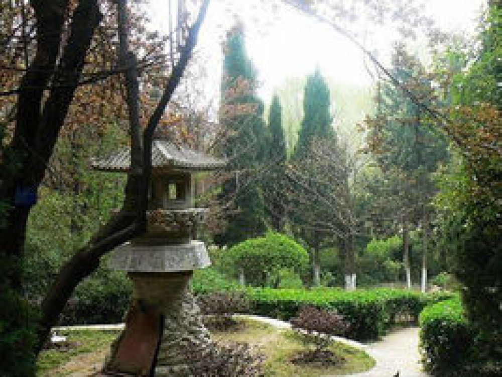 四方山植物园景点图片