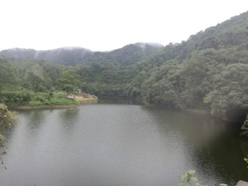 江西官山国家级自然保护区旅行图片 2