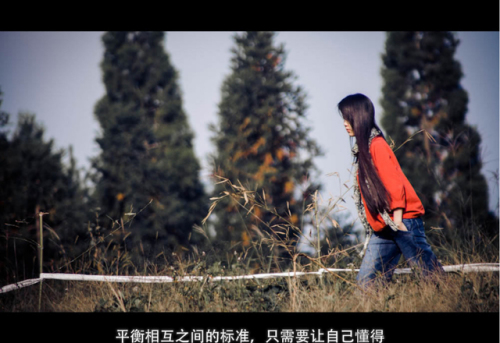 湖山森林公园旅行图片 2