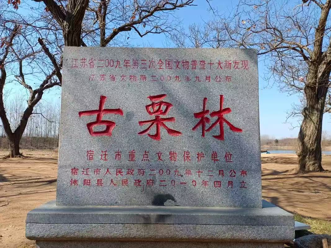 邳州古栗省级森林公园