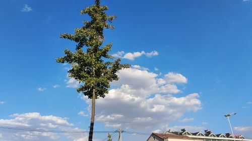 民和食品产业园实景图（2）
