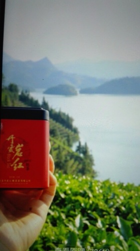 丹霞天雄生态观光茶园旅行图片 1