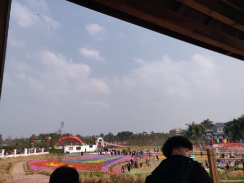 武胜梦田花海旅行图片 1