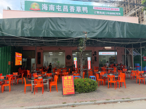 海南屯昌香草鸭(乐东九所第80家店)
