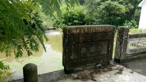 泖田湿地旅行图片 1
