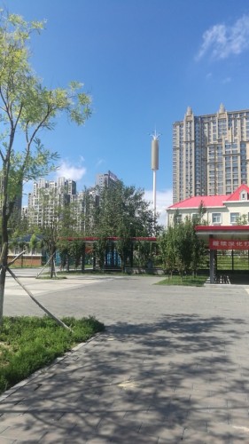 双金公园旅行图片 3