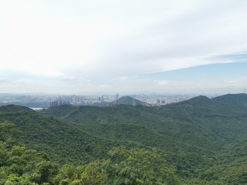 梅语亭旅行图片 3